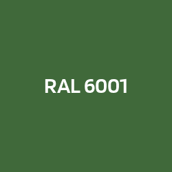 RAL 6001 Emerald green