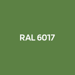 RAL 6017 May green
