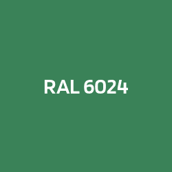 RAL 6024